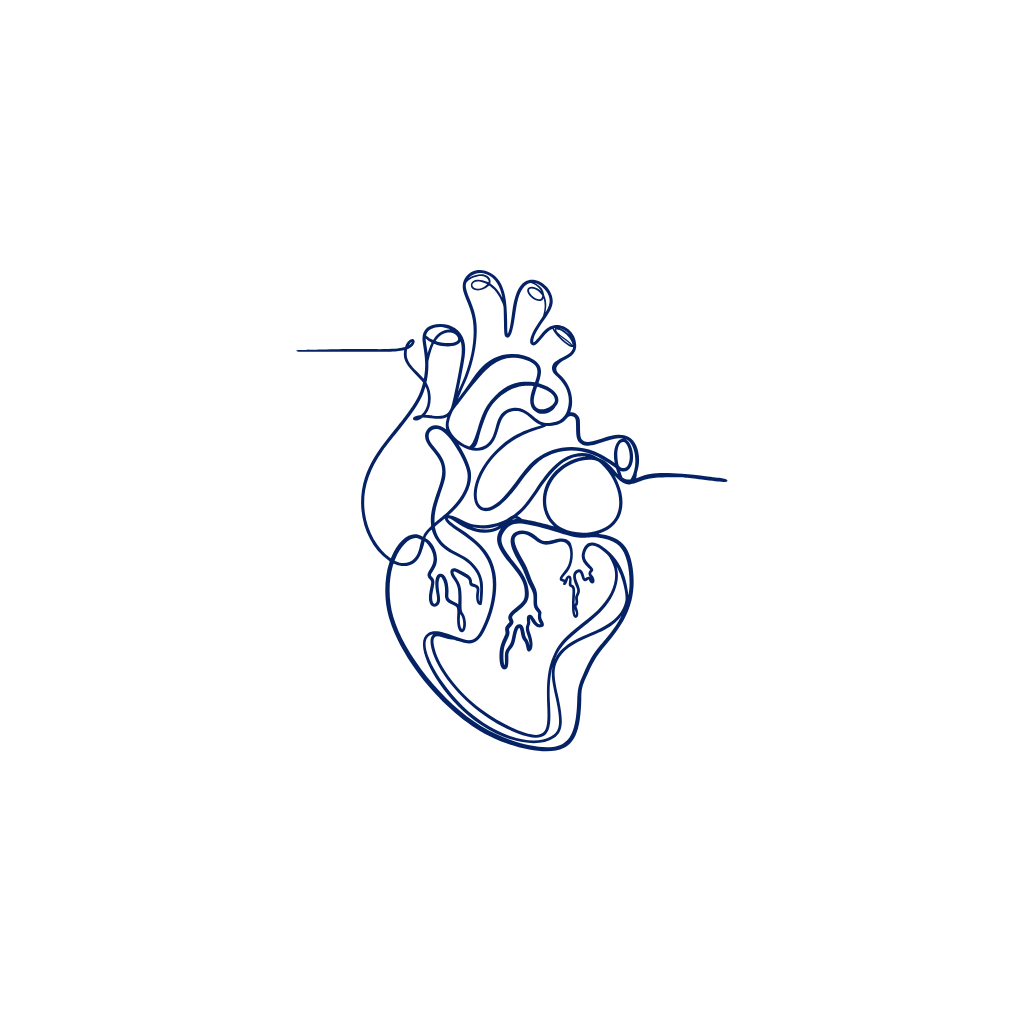 Organ Systems
